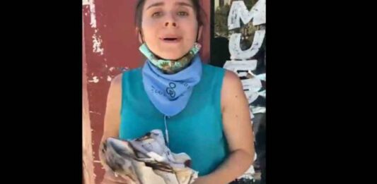 Joven cristiana evitó que feministas quemen una biblia en Chile